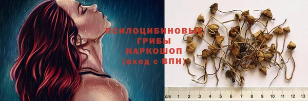 гидропоника Вяземский