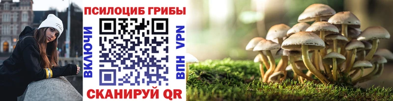 купить наркотики сайты  Жиздра  Псилоцибиновые грибы мицелий 