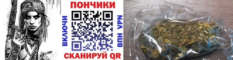 купить наркоту  Жиздра  Бошки марихуана план 